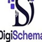 Digi Schema